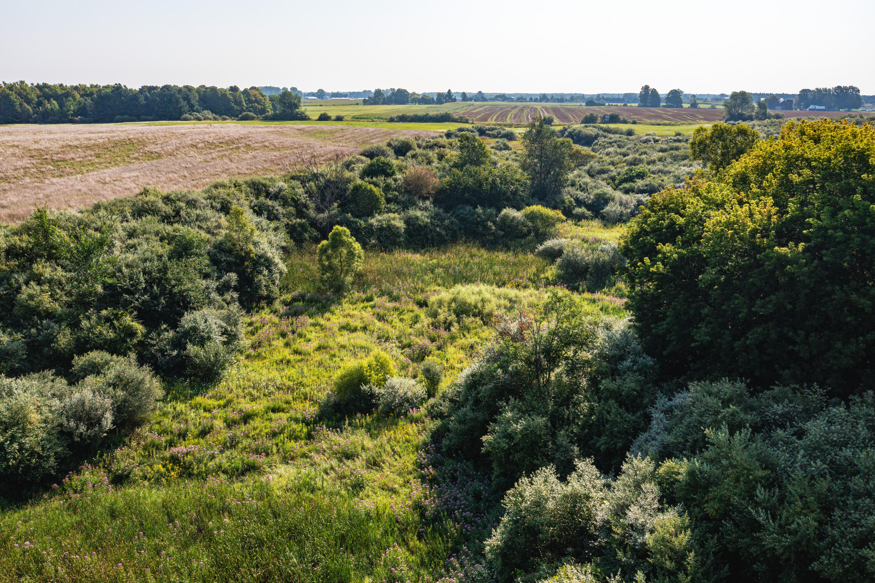 4919 North Victory Corner Road Ludington, MI 49431 - Photo 40 of 51 DJI_0058