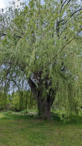 $289,000 | 4919 North Victory Corner Road, Ludington, MI 49431