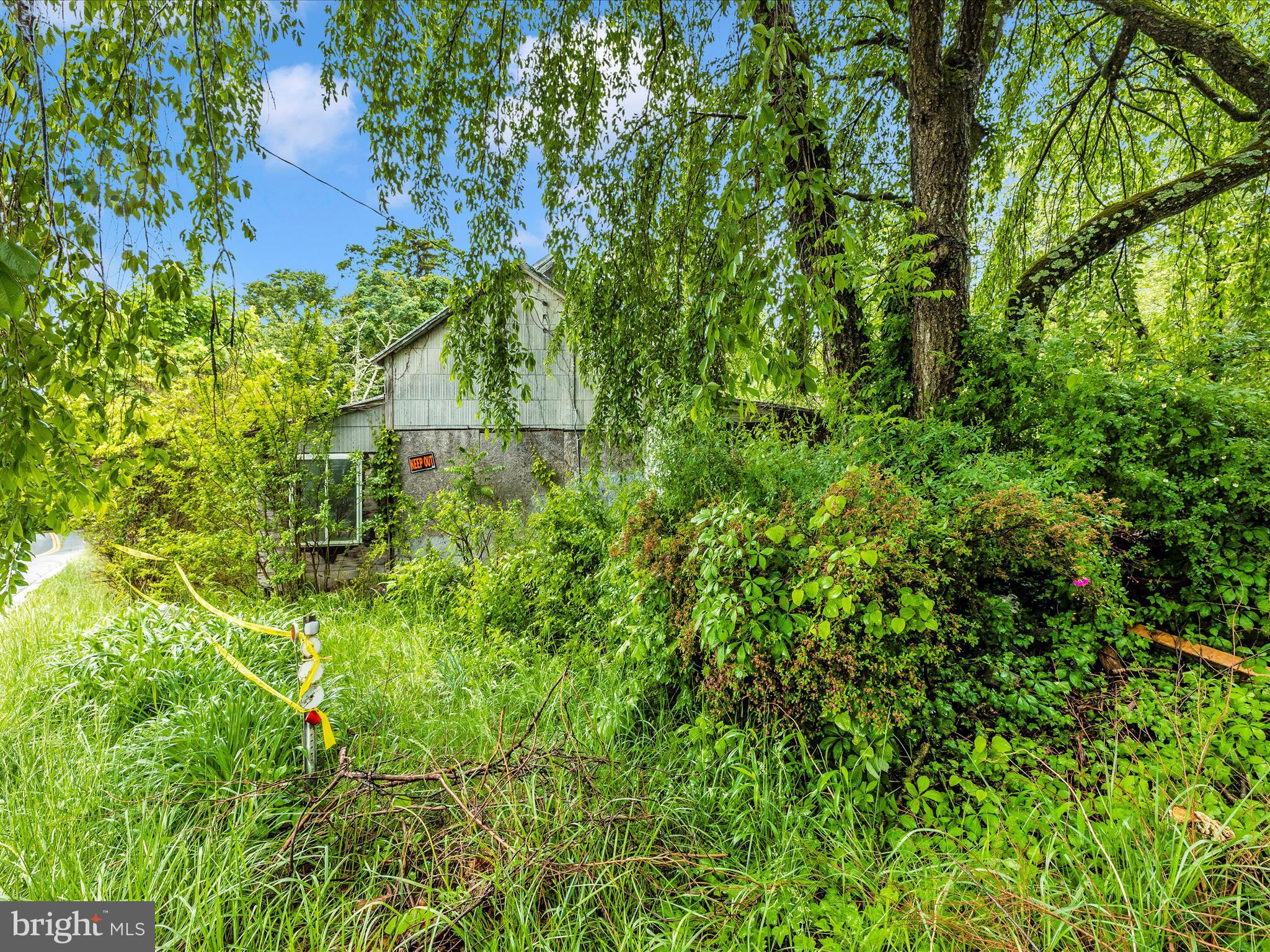 Side Yard