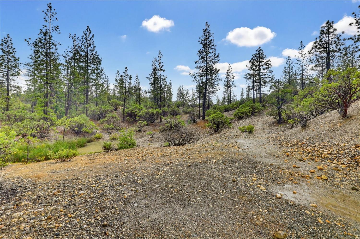 13751 Sailor Flat Road Nevada City, CA 95959 - Photo 38 of 49