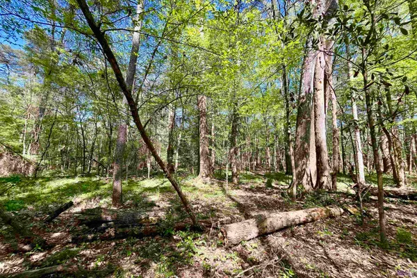 $187,850 | 26 Lillian Lane, Ethel, LA 70730