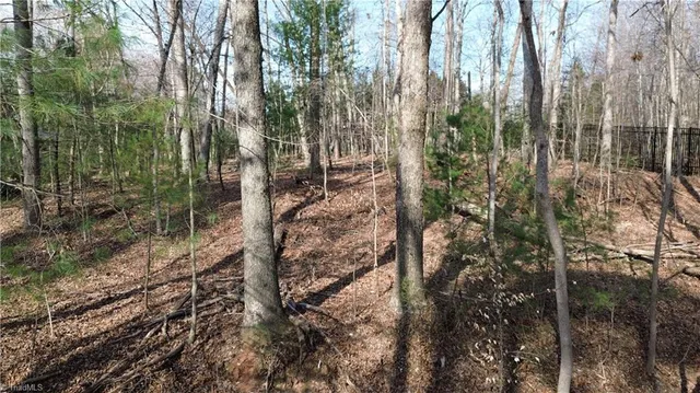 $15,000 | Tbd Woodland Drive, Elkin, NC 28621