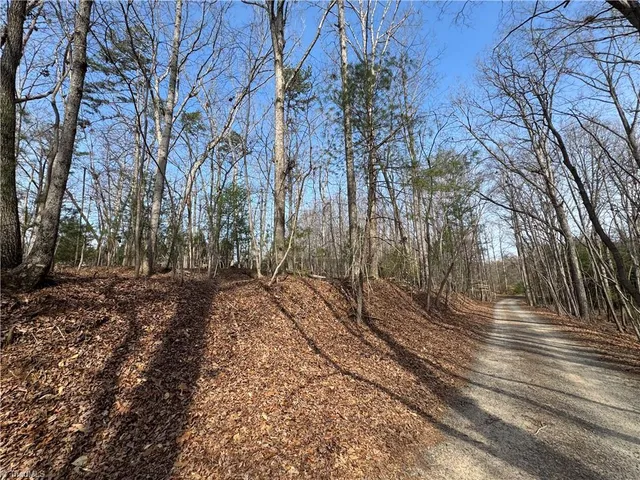 $15,000 | Tbd Woodland Drive, Elkin, NC 28621