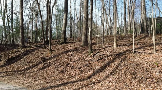 $15,000 | Tbd Woodland Drive, Elkin, NC 28621