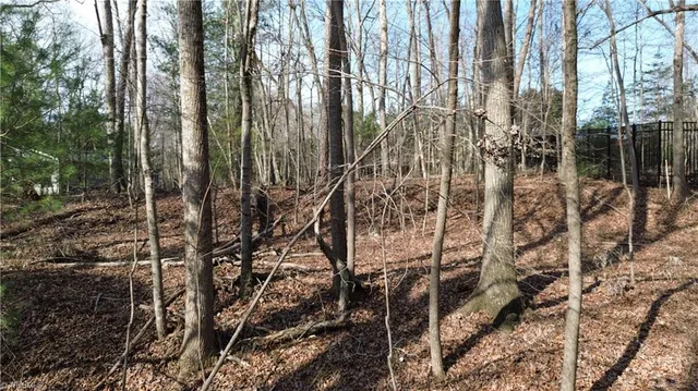 $15,000 | Tbd Woodland Drive, Elkin, NC 28621