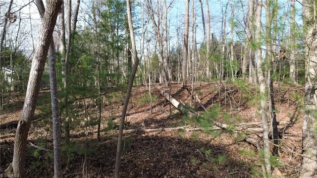 $15,000 | Tbd Woodland Drive, Elkin, NC 28621