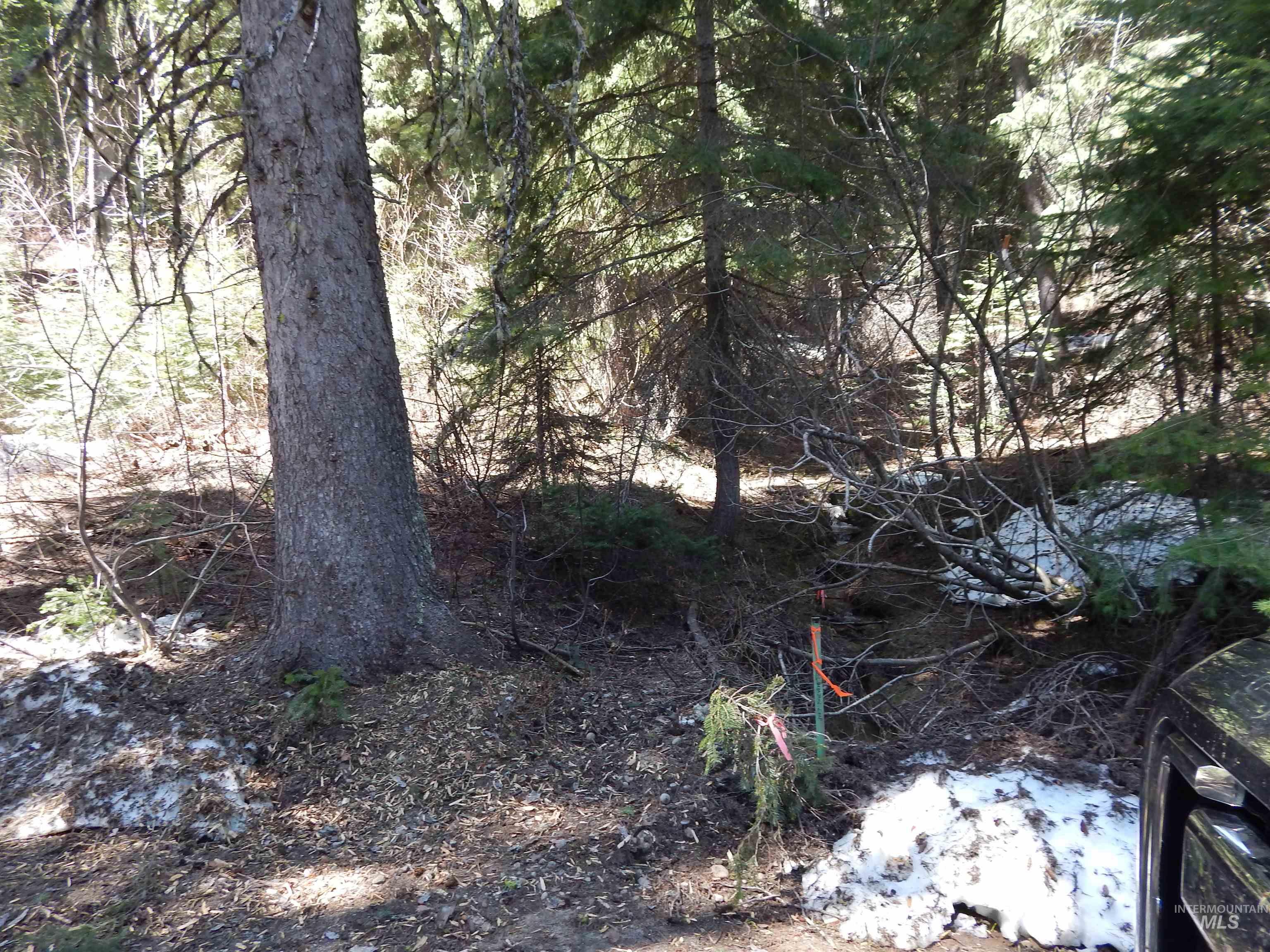 1601 Bear Trail Loop Cascade, ID 83611 - Photo 4 of 26