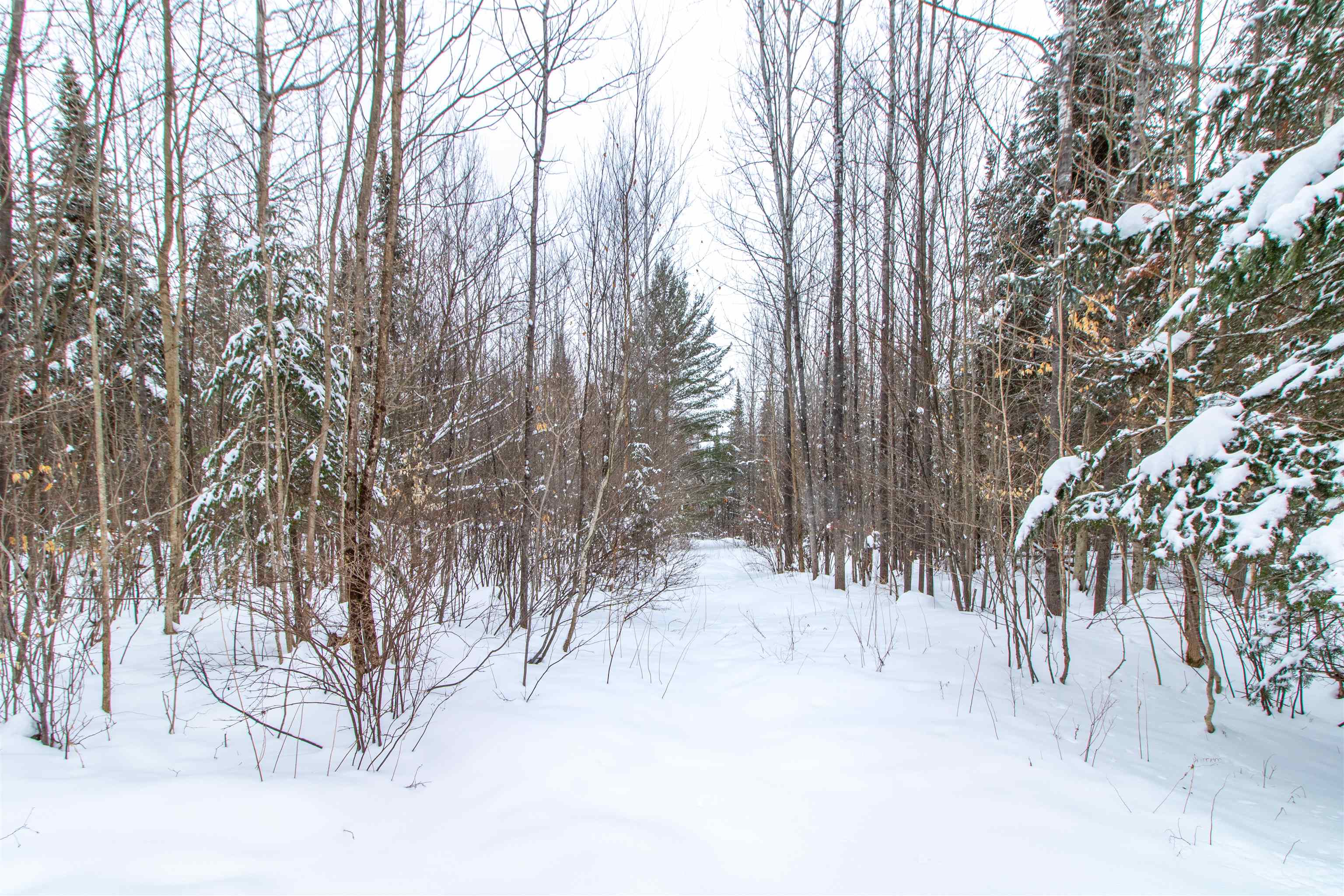 266 Collins Mill Road Troy, VT 05859 - Photo 26 of 34