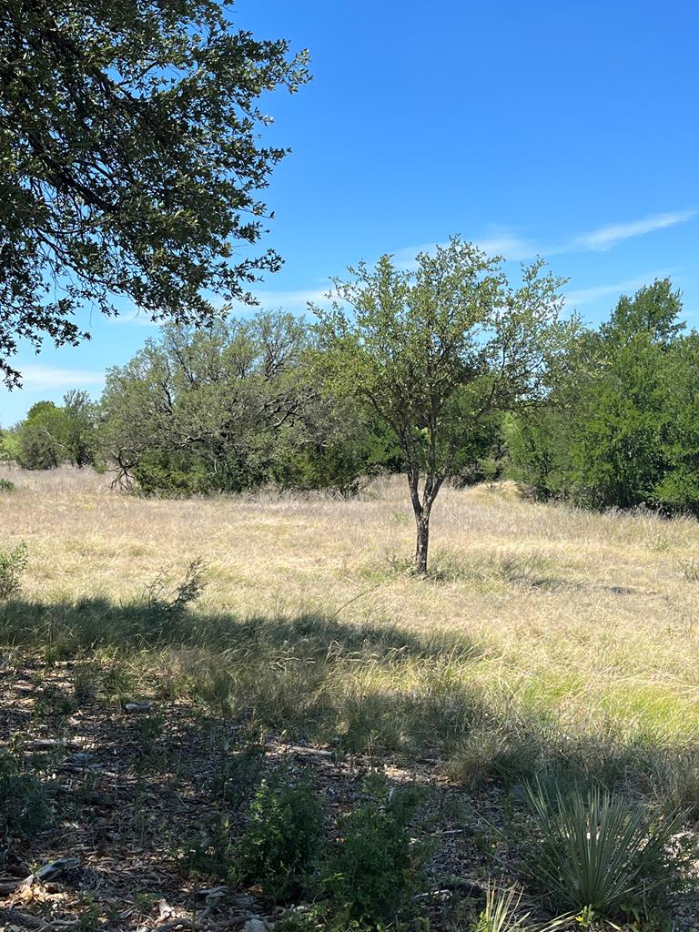 0 County Road 454, Unit 3 Rochelle, TX 76872 - Photo 1 of 11 Main View