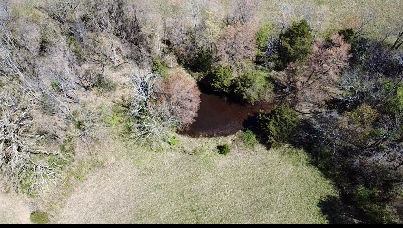 0 New Deal Potts Road Cottontown, TN 37048 - Photo 5 of 10 a view of a yard