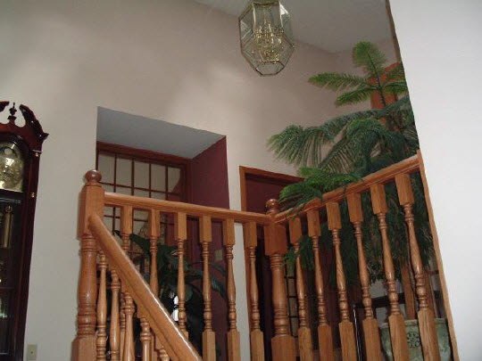 540 Baintree Road Lake Summerset, IL 61019 - Photo 10 of 11 a view of staircase with railing and a potted plant