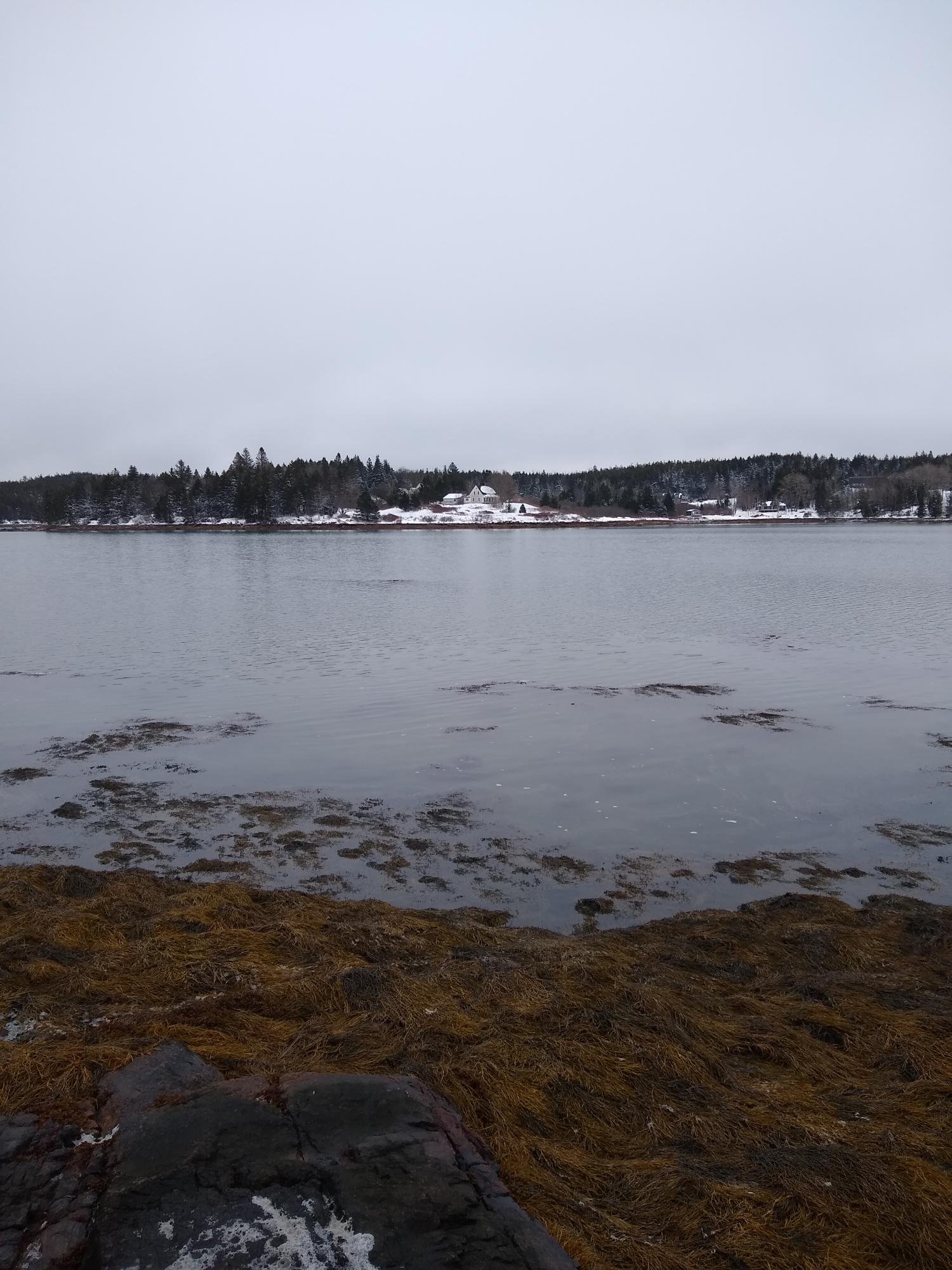176 Harbor Road Swans Island, ME 04685 - Photo 5 of 23 IMG_20201219_104923515