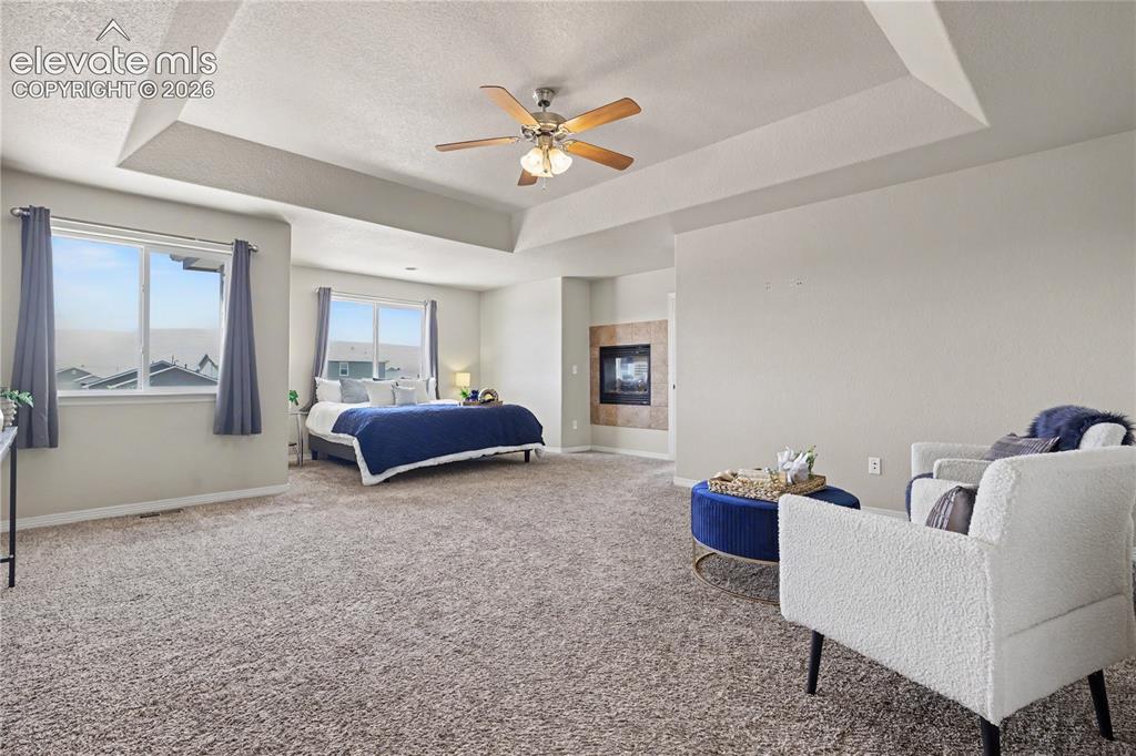 6598 Alliance Loop Colorado Springs, CO 80925 - Photo 15 of 39 Spacious carpeted room featuring a tray ceiling with a ceiling fan, multiple windows, and a built-in fireplace with a stone surround