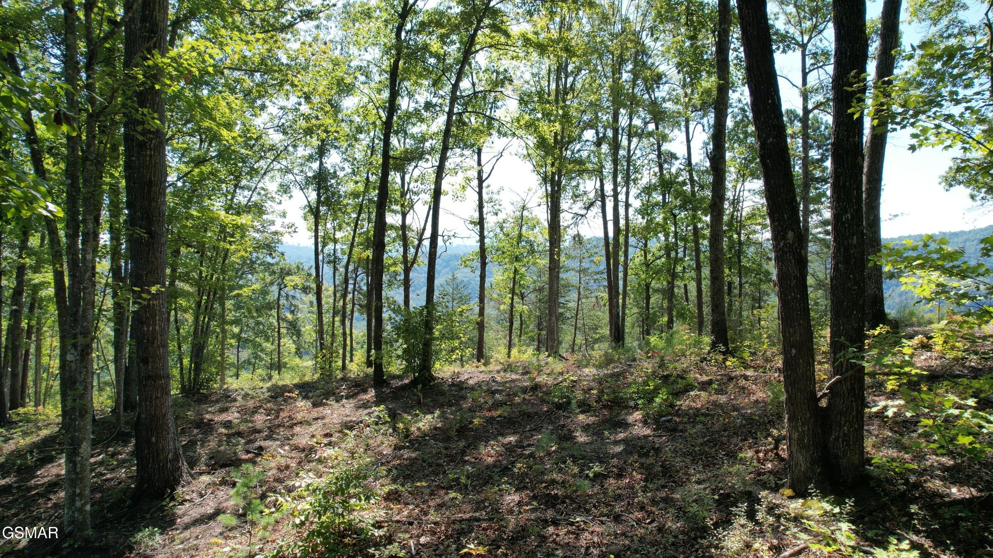 1 Sulpher Springs Way Sevierville, TN 37862 - Photo 9 of 12