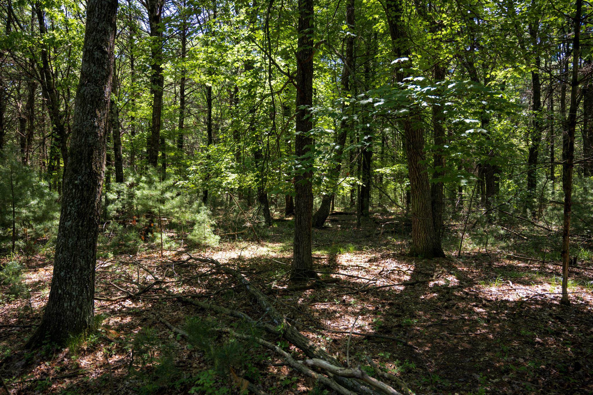 Lot 132 19th Arkdale, WI 54613 - Photo 19 of 27