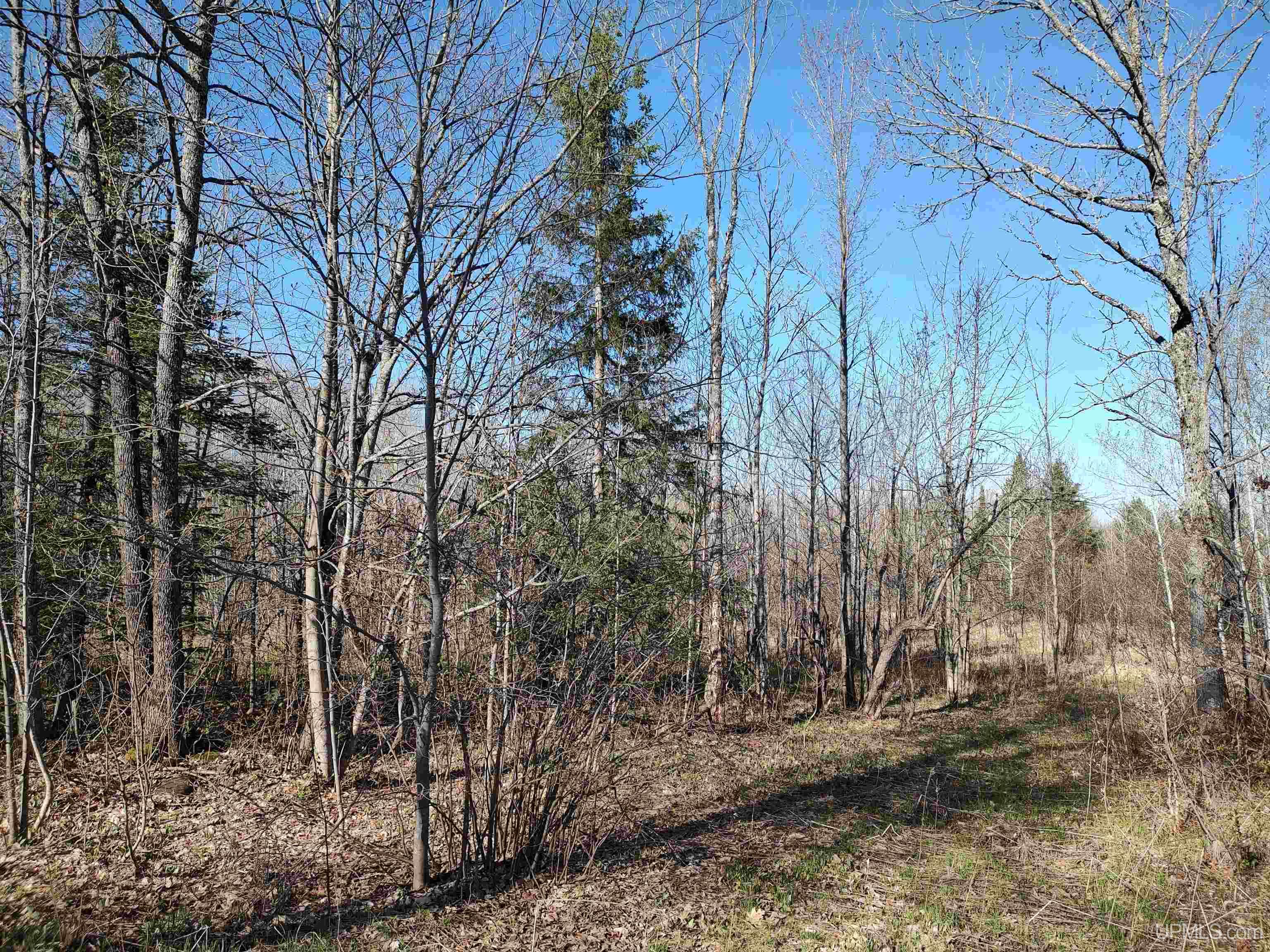 Tbd Tbd Schooner Road Ontonagon, MI 49953 - Photo 28 of 44