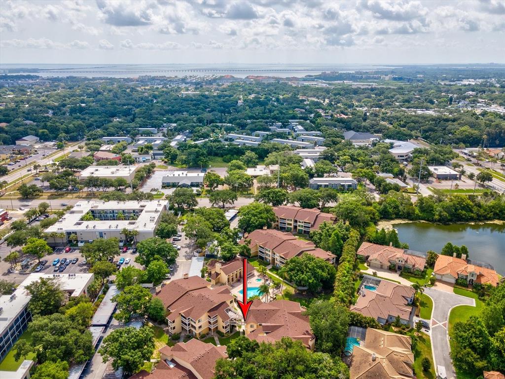 1550 South Belcher Road, Unit 421 Clearwater, FL 33764 - Photo 49 of 55