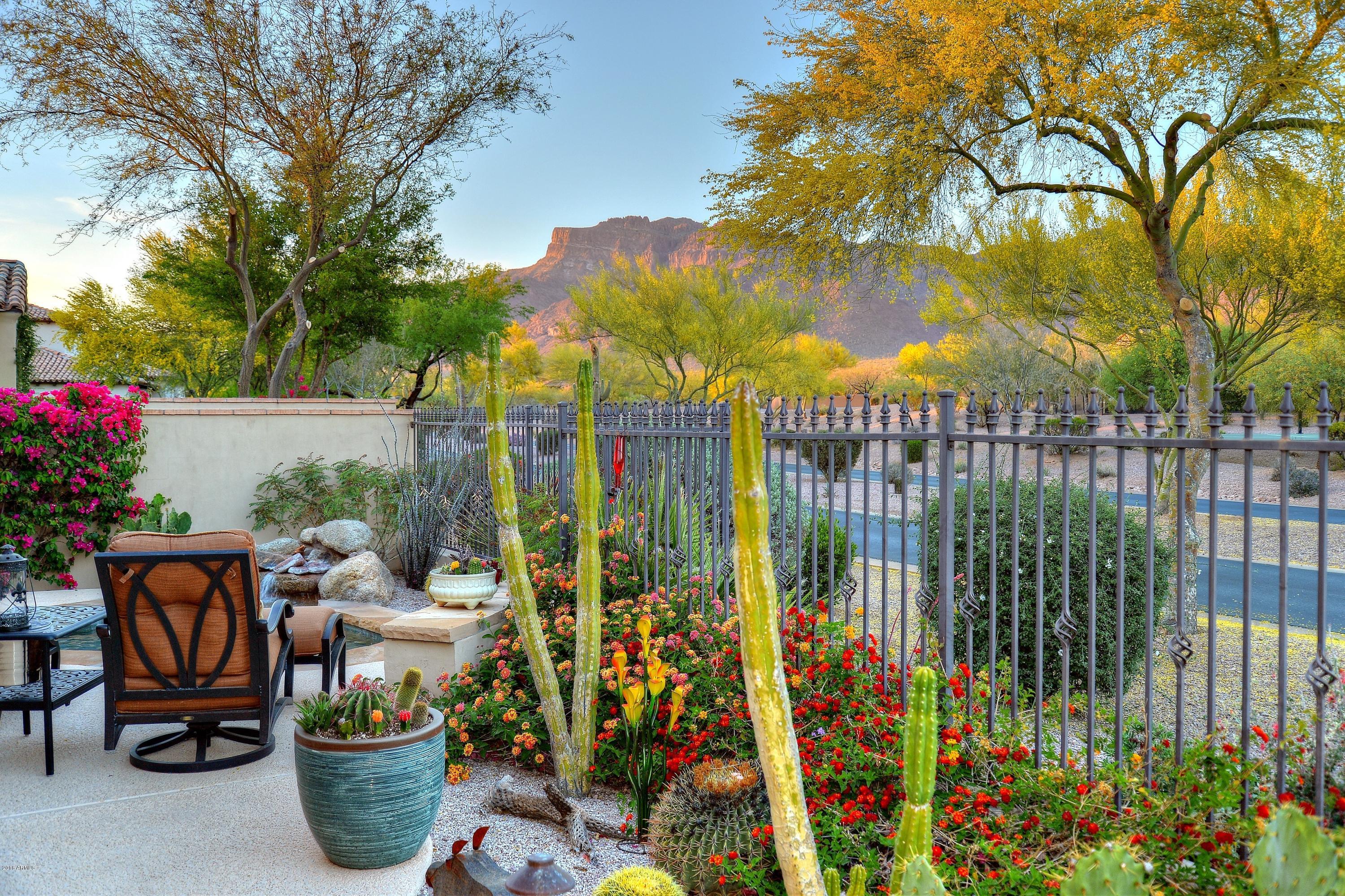 2907 South Lookout Ridge Gold Canyon, AZ 85118 - Photo 6 of 41 003_Backyard View