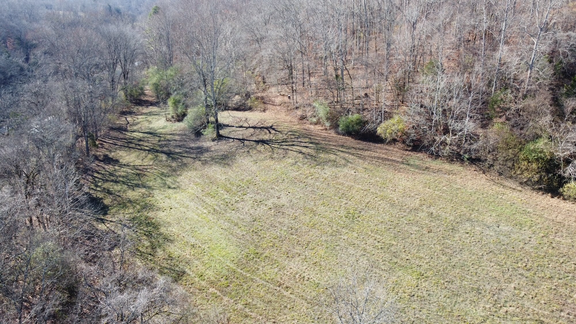 919 County Farm Road Centerville, TN 37033 - Photo 1 of 15 Gallery Image 1