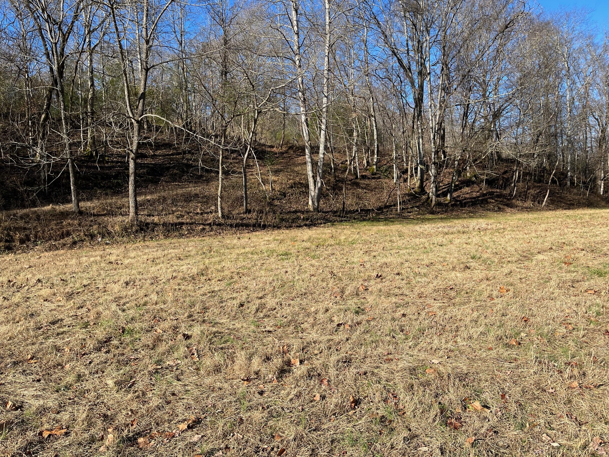 919 County Farm Road Centerville, TN 37033 - Photo 12 of 15 Gallery Image 12