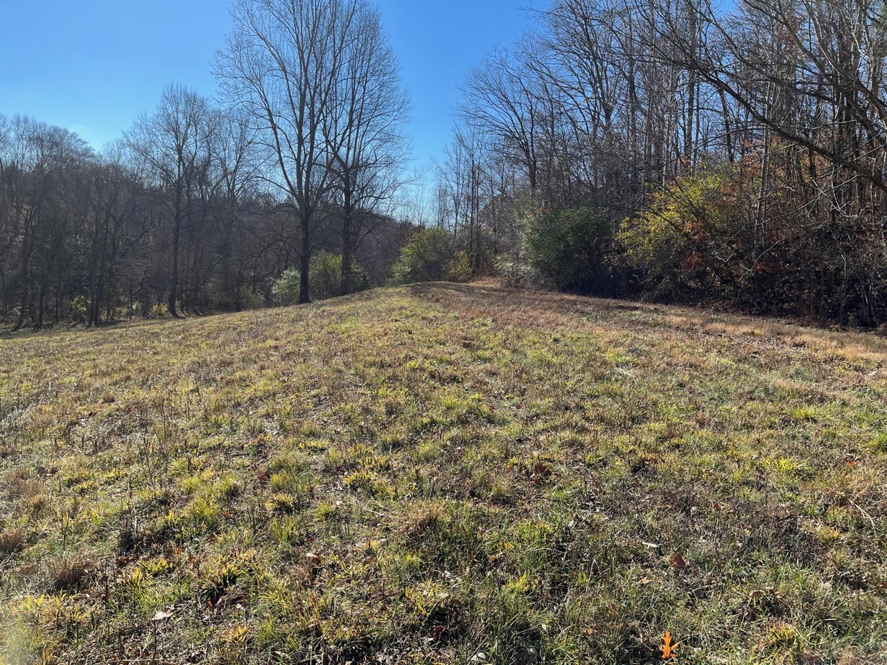 919 County Farm Road Centerville, TN 37033 - Photo 13 of 15 Gallery Image 13