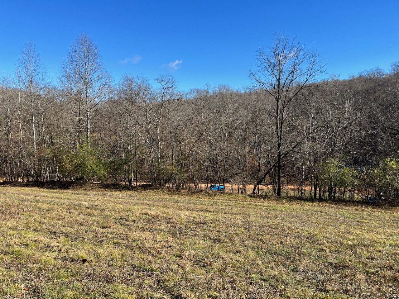 919 County Farm Road Centerville, TN 37033 - Photo 14 of 15 Gallery Image 14