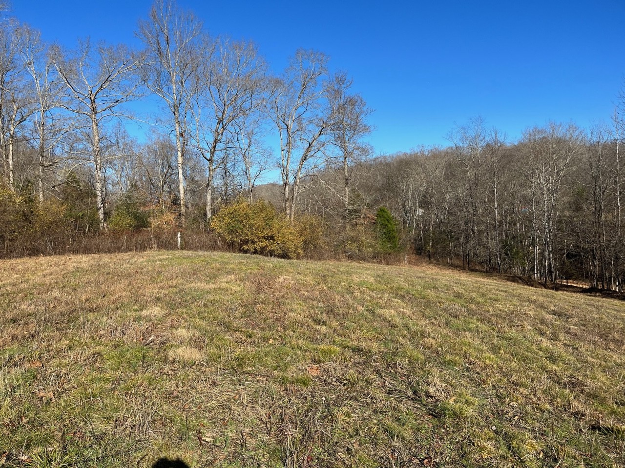 919 County Farm Road Centerville, TN 37033 - Photo 15 of 15 Gallery Image 15