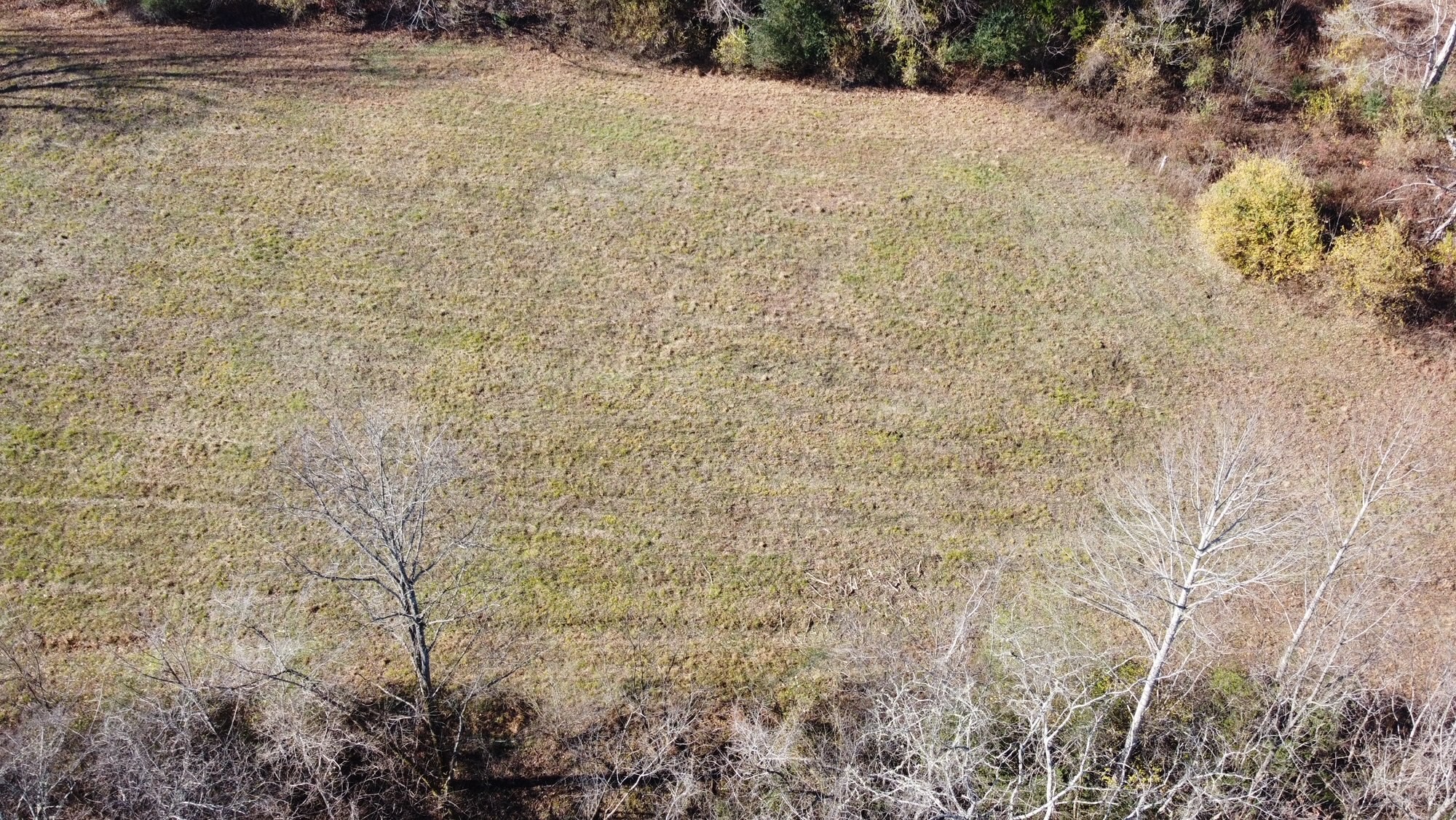 919 County Farm Road Centerville, TN 37033 - Photo 2 of 15 Gallery Image 2