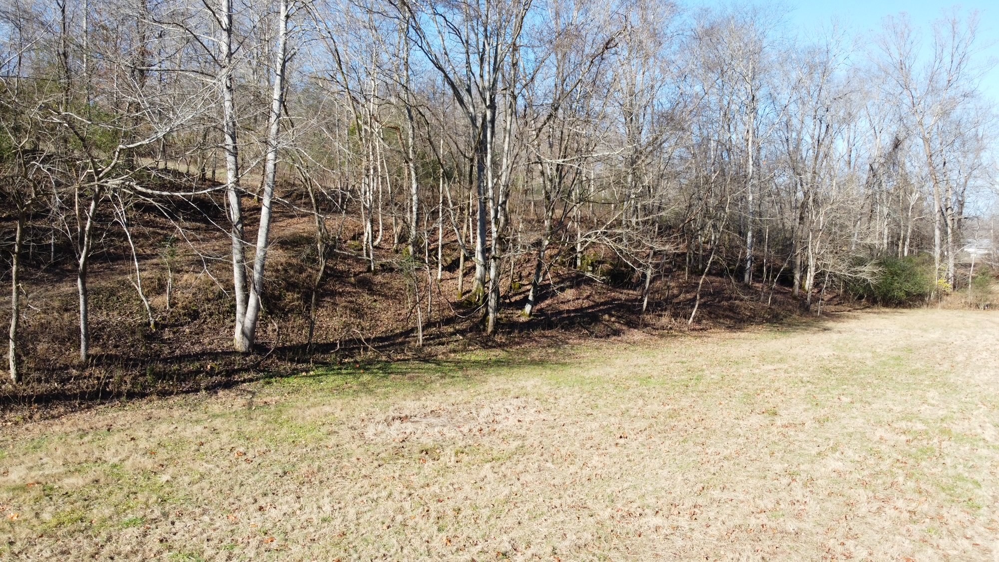919 County Farm Road Centerville, TN 37033 - Photo 3 of 15 Gallery Image 3