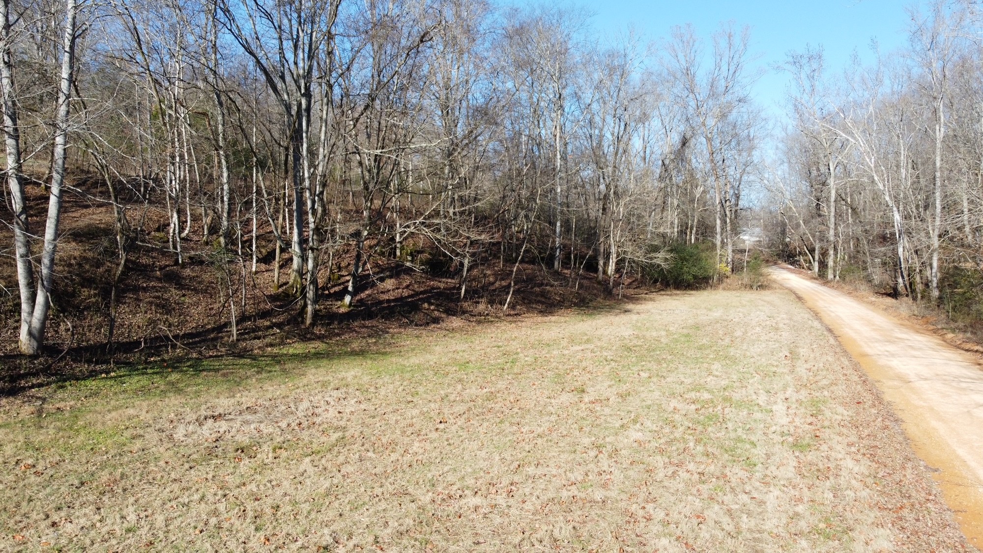 919 County Farm Road Centerville, TN 37033 - Photo 4 of 15 Gallery Image 4