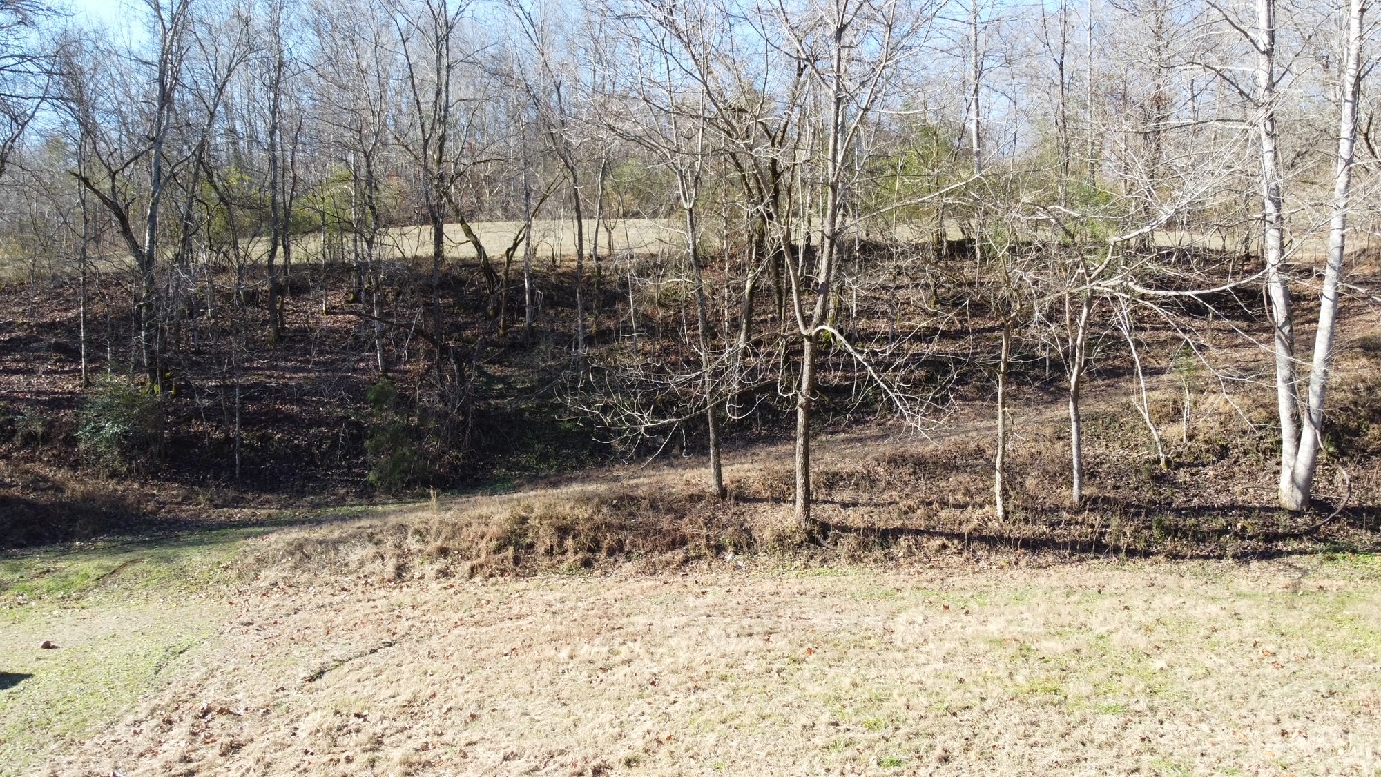 919 County Farm Road Centerville, TN 37033 - Photo 5 of 15 Gallery Image 5