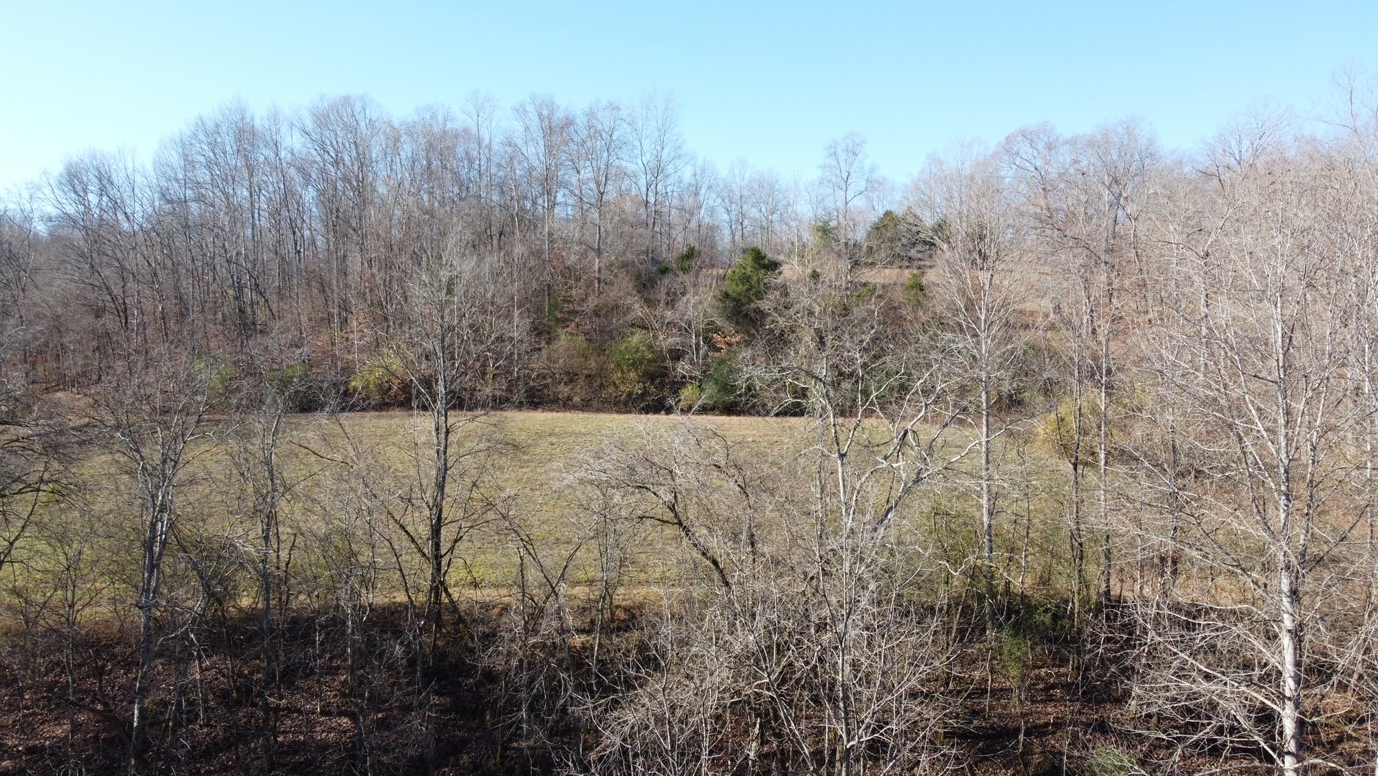 919 County Farm Road Centerville, TN 37033 - Photo 6 of 15 Gallery Image 6