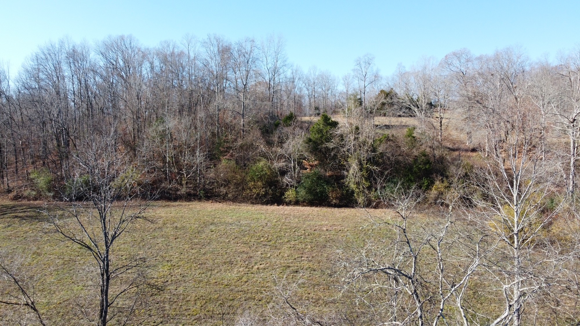 919 County Farm Road Centerville, TN 37033 - Photo 7 of 15 Gallery Image 7