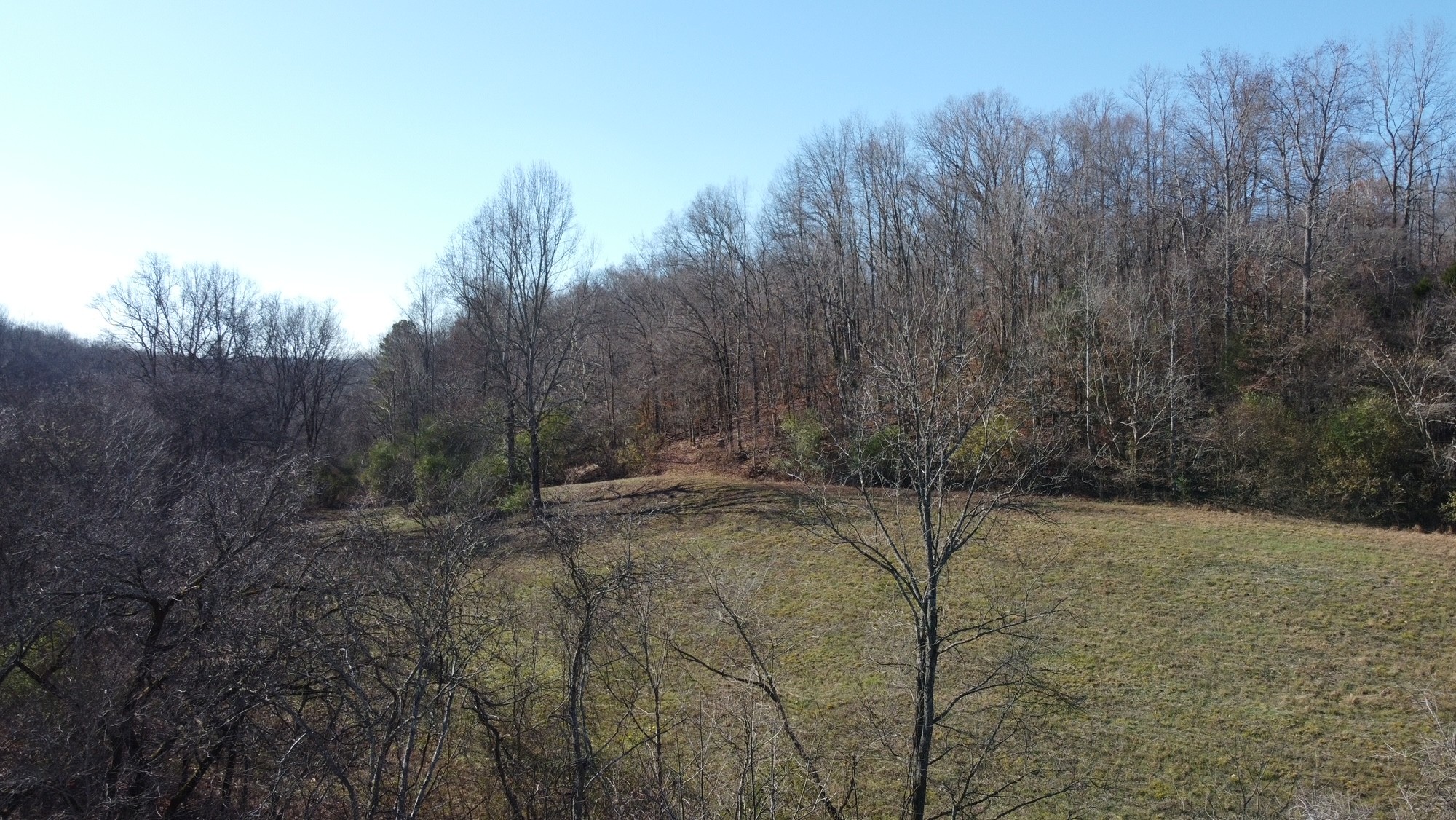 919 County Farm Road Centerville, TN 37033 - Photo 8 of 15 Gallery Image 8