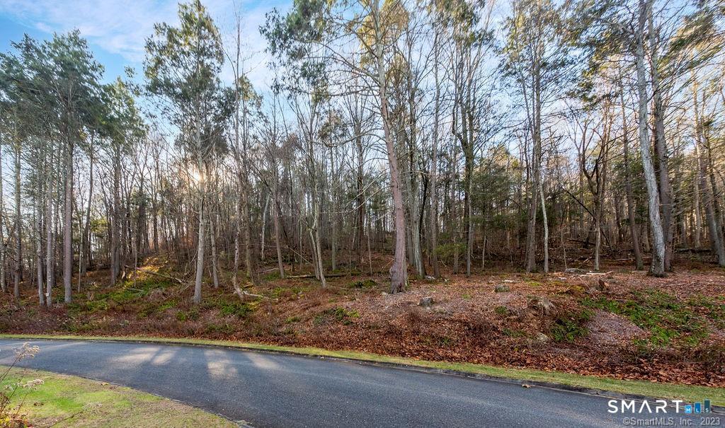 40 Long River Road Sherman, CT 06784 - Photo 9 of 24 a backyard of a house with lots of trees