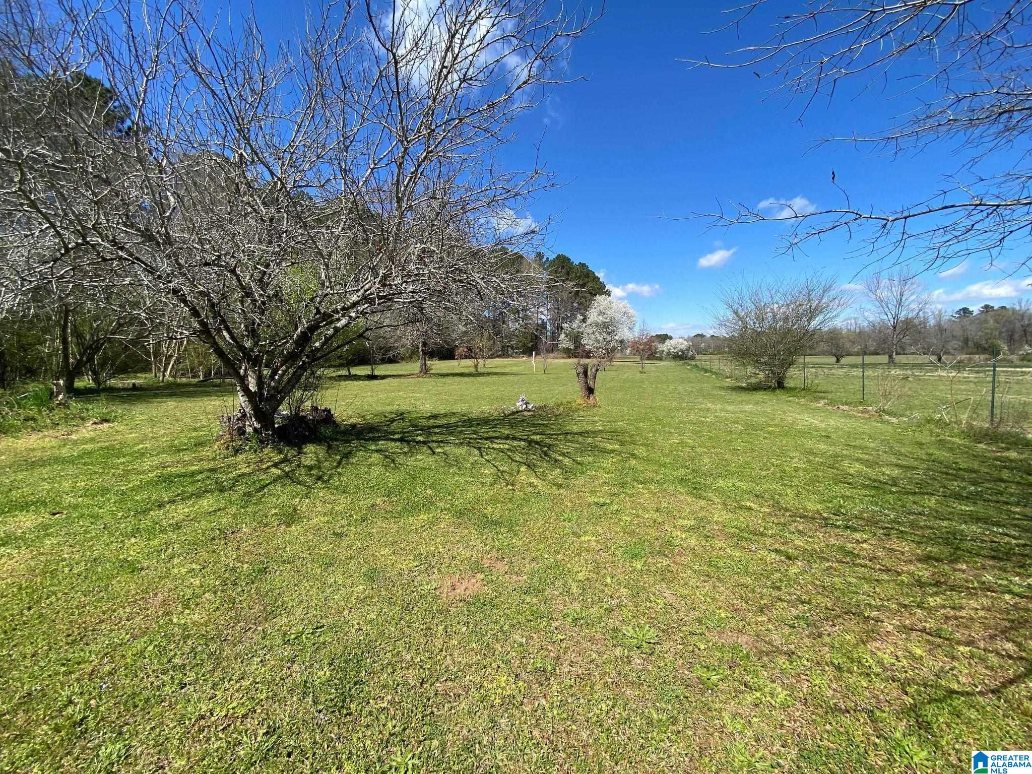 2160 Tanyard Road Harpersville, AL 35078 - Photo 7 of 36