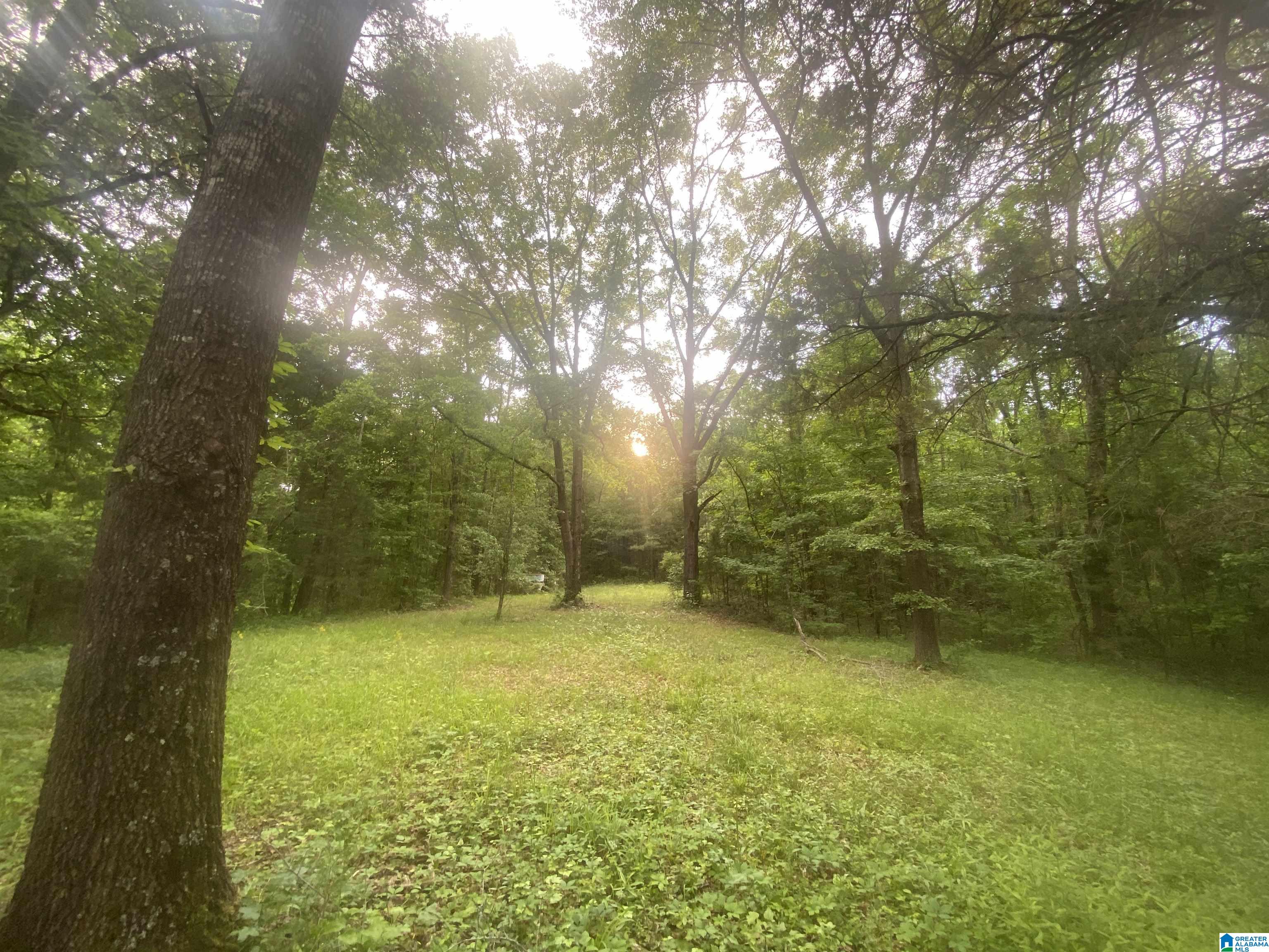 201 Baret Creek Road Selma, AL 36701 - Photo 2 of 7