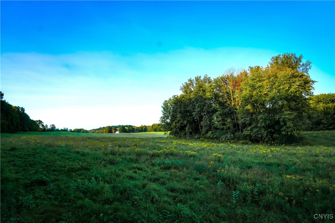 Lot 1 Shantz Road Jordan, NY 13080 - Photo 1 of 1 Gallery Image 1