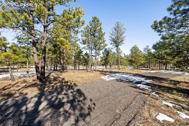 12180 Goodson Road Colorado Springs, CO 80908 - Photo 6 of 25