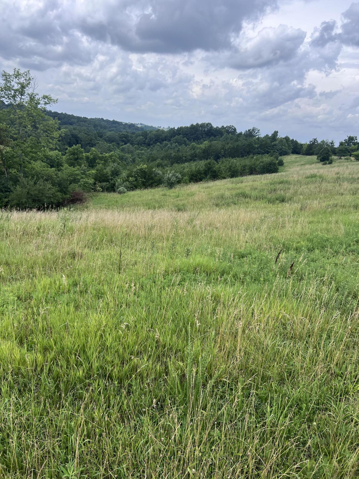 283 Jacobs Road Butler, KY 41006 - Photo 9 of 20