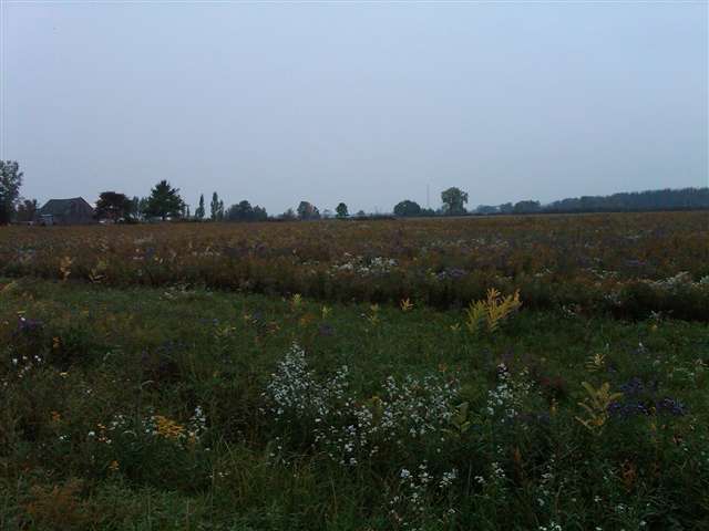 This is view 3 of the property.