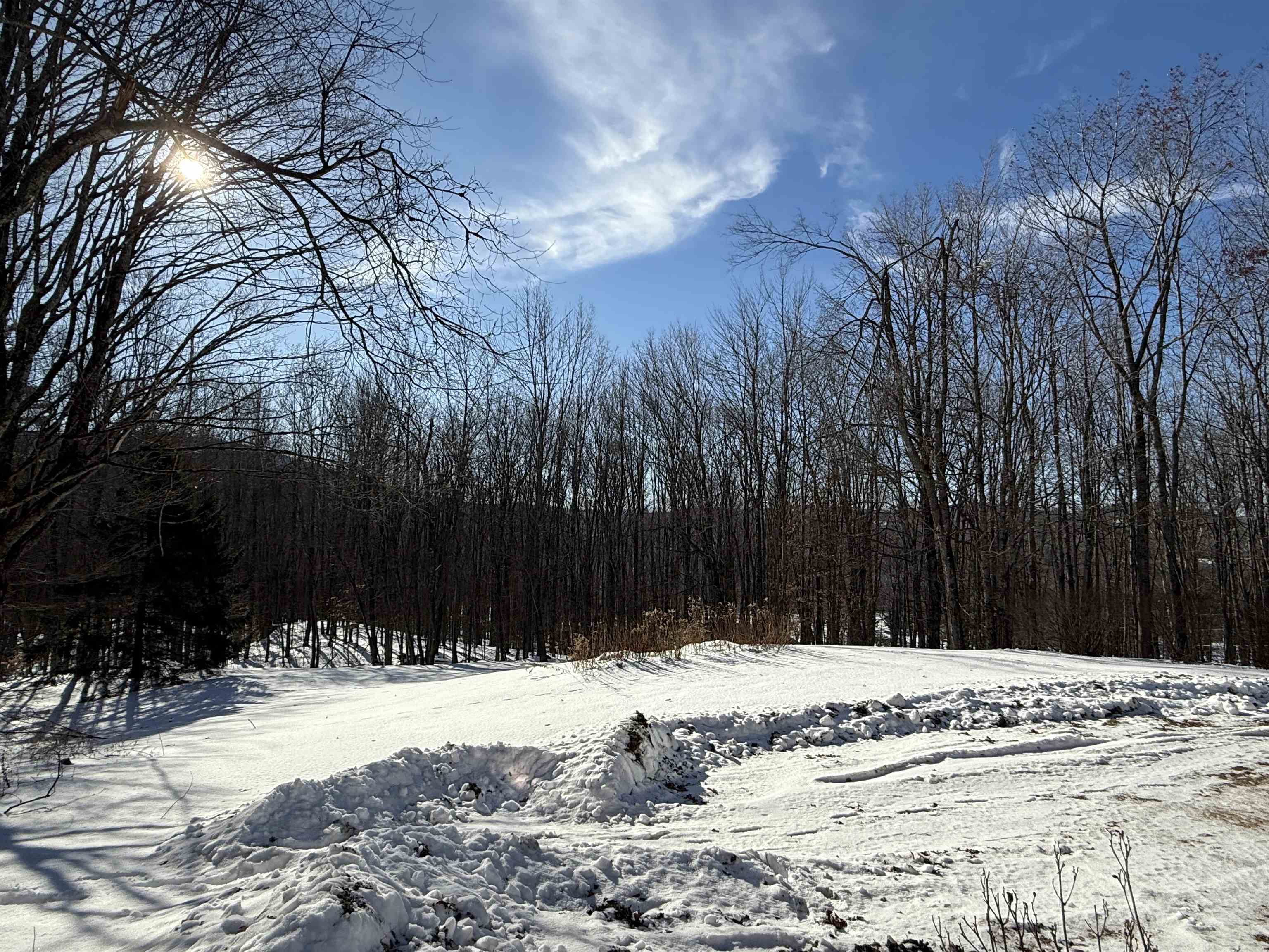 852 Sawyer Hill Road Mount Holly, VT 05758 - Photo 49 of 51