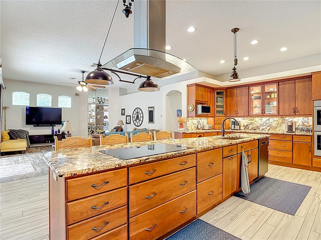2087 Breezy Way Spring Hill, FL 34608 - Photo 12 of 69