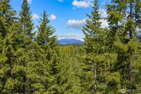 a view of a bunch of trees