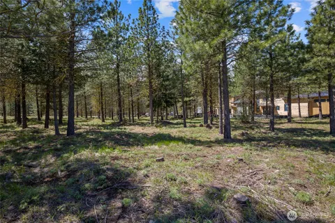 a view of outdoor space with trees