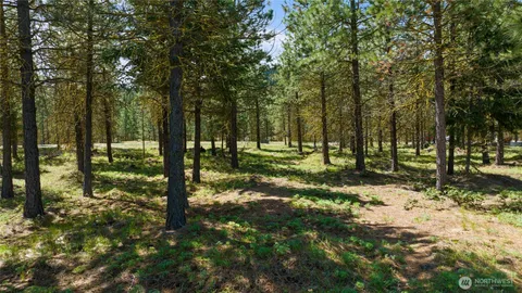 a view of outdoor space with trees