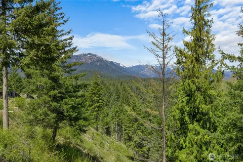 a view of mountain view with a tree