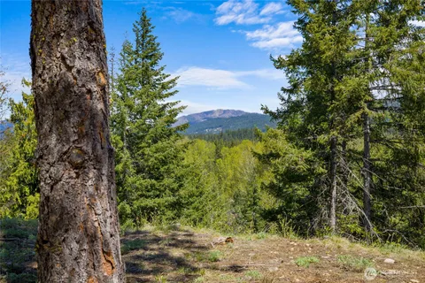 a view of a yard with a tree