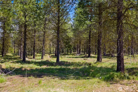 a view of backyard with green space