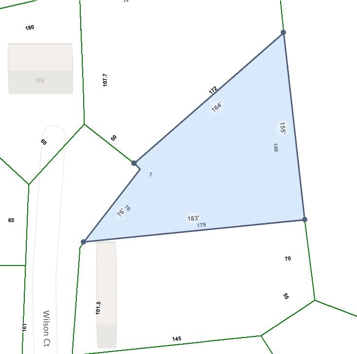 196 Wilson Court Boiling Springs, SC 29316 - Photo 2 of 5